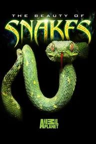 Movie poster of The Beauty of Snakes