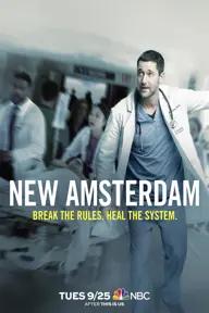 Movie poster of New Amsterdam (Season 1)