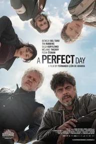 Movie poster of A Perfect Day