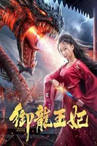 Movie poster of Female Assasin