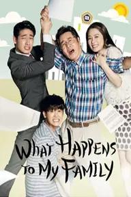 Movie poster of What Happens to My Family?