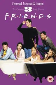 Movie poster of Friends (Season 3)