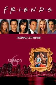 Movie poster of Friends (Season 6)