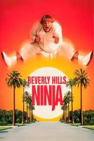 Movie poster of Beverly Hills Ninja