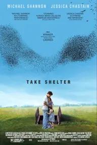 Movie poster of Take Shelter