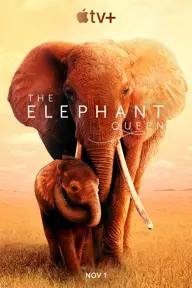 Movie poster of The Elephant Queen