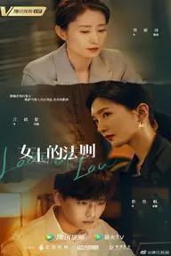 Movie poster of Lady Of Law