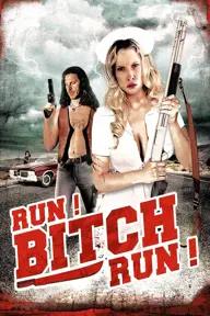 Movie poster of Run! Bitch Run!