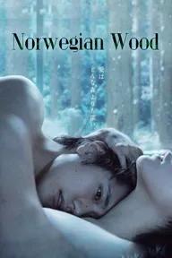 Movie poster of Norwegian Wood