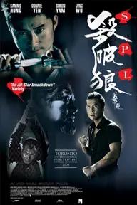 Movie poster of Kill Zone: Sha Po Lang