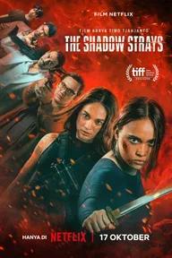 Movie poster of The Shadow Strays