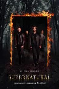 Movie poster of Supernatural (Season 12)