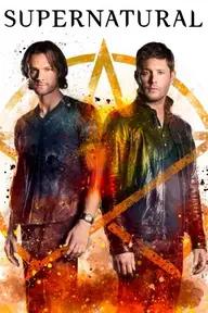 Movie poster of Supernatural (Season 13)