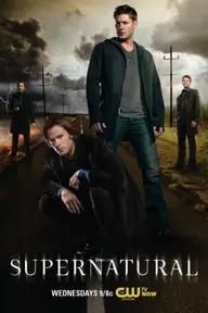 Movie poster of Supernatural (Season 5)