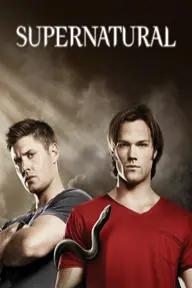 Movie poster of Supernatural (Season 6)