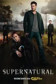 Movie poster of Supernatural (Season 8)