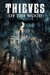 Movie poster of Thieves of the Wood