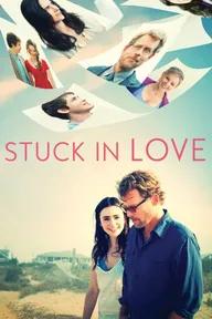 Movie poster of Stuck in Love.