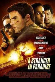 Movie poster of A Stranger in Paradise