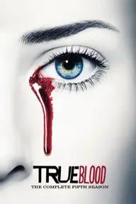 Movie poster of True Blood (Season 5)