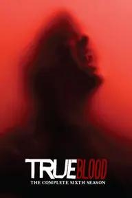 Movie poster of True Blood (Season 6)