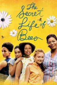 Movie poster of The Secret Life of Bees