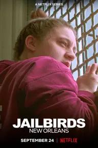 Movie poster of Jailbirds New Orleans