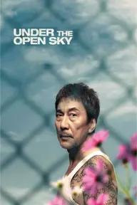 Movie poster of Under The Open Sky