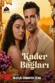 Movie poster of Kader Baglari