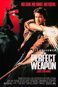 Movie poster of The Perfect Weapon