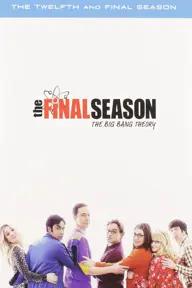 Movie poster of The Big Bang Theory (Season 12)