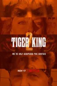 Movie poster of Tiger King (Season 2)