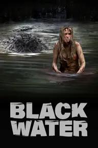 Movie poster of Black Water