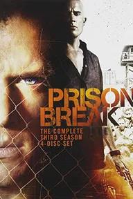 Movie poster of Prison Break (Season 3)