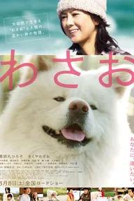 Movie poster of Wasao