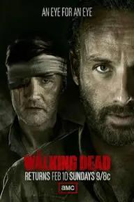 Movie poster of The Walking Dead (Season 3)