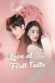 Movie poster of Love At First Taste