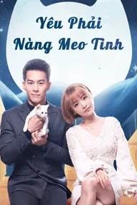 Movie poster of Falling in Love With Cat