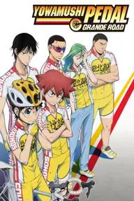 Movie poster of Yowamushi Pedal SPECIAL RIDE